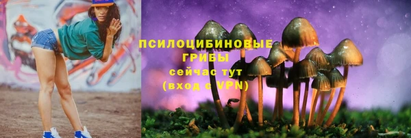 трава Аркадак
