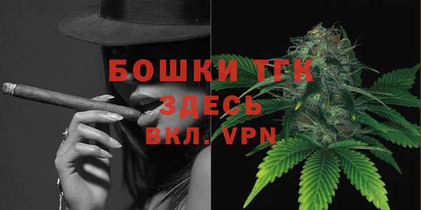 трава Аркадак
